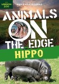 Cover: Hippo - Bloomsbury Childrens Books
