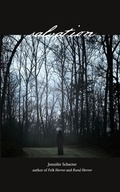 Cover: The BURIED TREASURE Of MT. GRETNA - AuthorHouse