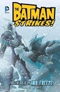 Cover: Frozen solid by Mr Freeze - Raintree Publishers