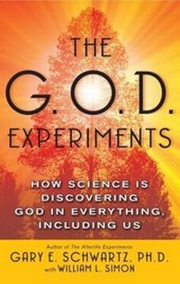 Enlarge image Cover: The G.O.D. Experiments - Atria Books