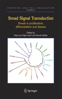 Abbildung von: Smad Signal Transduction - Springer