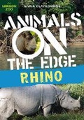 Cover: Rhino - Bloomsbury Childrens Books
