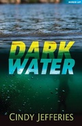 Cover: Dark Water - A & C Black (Childrens books)