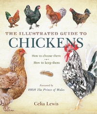 Abbildung von: The Illustrated Guide to Chickens - A & C Black Publishers Ltd