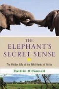 Enlarge image Cover: The Elephant's Secret Sense - Atria Books