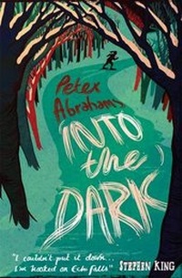 Enlarge image Cover: Into the Dark - Walker Books Ltd