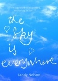 Cover: Sky Is Everywhere - Walker Books Ltd