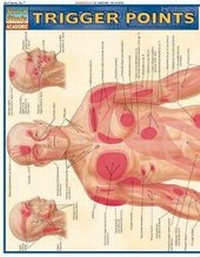 Abbildung von: Trigger Points - Barcharts, Inc