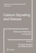Cover: Calcium Signalling and Disease - Springer