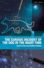 Cover: The Curious Incident of the Dog in the Night-Time - Methuen Drama