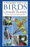 Cover: A Photographic Guide to the Birds of the Cayman Islands - Helm