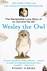 Enlarge image Cover: Wesley the Owl - Simon & Schuster
