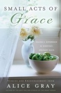 Cover: Small Acts of Grace - Thomas Nelson