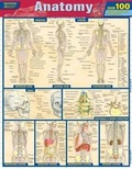 Cover: Anatomy Quizzer - Barcharts, Inc