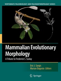 Bild vergrößern Bild: Mammalian Evolutionary Morphology - Springer