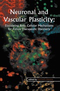 Bild: Neuronal and Vascular Plasticity - Springer