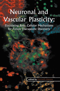 Abbildung von: Neuronal and Vascular Plasticity - Springer