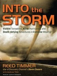 Abbildung von: Into the Storm - Tantor Media, Inc