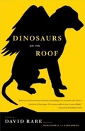 Cover: Dinosaurs on the Roof - Simon + Schuster Inc.
