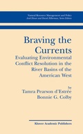 Abbildung von: Braving the Currents - Springer