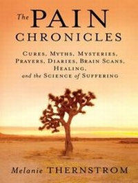 Enlarge image Cover: The Pain Chronicles - Tantor Media, Inc