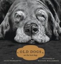 Abbildung von: Old Dogs - Simon + Schuster LLC