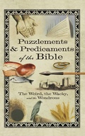 Cover: Puzzlements & Predicaments of the Bible - Howard Books