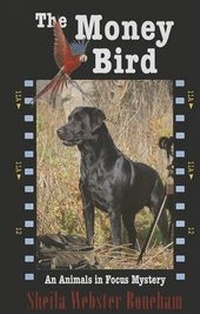 Enlarge image Cover: The Money Bird - Thorndike Press