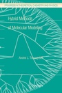 Cover: Hybrid Methods of Molecular Modeling - Springer