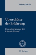 Cover: &Uuml;bersch&uuml;sse der Erfahrung - Springer