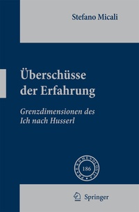 Abbildung von: Überschüsse der Erfahrung - Springer