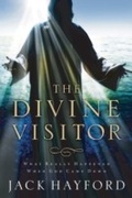Cover: Divine Visitor - Thomas Nelson