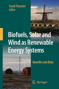 Bild vergrößern Bild: Biofuels, Solar and Wind as Renewable Energy Systems - Springer