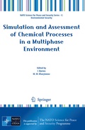 Cover: Simulation and Assessment of Chemical Processes in a Multiphase Environment - Springer