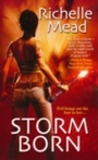 Cover: Storm Born - Zebra Books