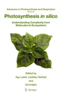 Cover: Photosynthesis in silico - Springer