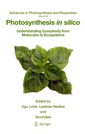 Cover: Photosynthesis in silico - Springer