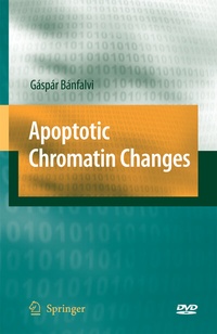 Abbildung von: Apoptotic Chromatin Changes - Springer
