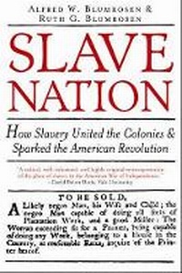 Abbildung von: Slave Nation - Sourcebooks, Inc