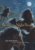 Cover: Secret of the Night Ponies - MARGARET K MCELDERRY BOOKS