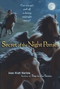 Cover: Secret of the Night Ponies - MARGARET K MCELDERRY BOOKS