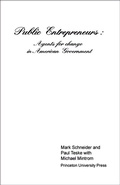 Cover: Public Entrepreneurs - Princeton University Press