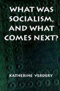 Cover: What Was Socialism, and What Comes Next? - Princeton University Press