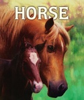 Cover: Horse - Margaret K. McElderry Books