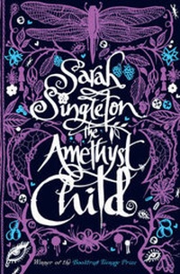 Enlarge image Cover: The Amethyst Child - Simon & Schuster Children's