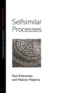 Enlarge image Cover: Selfsimilar Processes - Princeton University Press