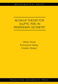 Bild: Blow-up Theory for Elliptic PDEs in Riemannian Geometry - Princeton University Press