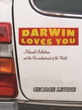 Cover: Darwin Loves You - Princeton University Press
