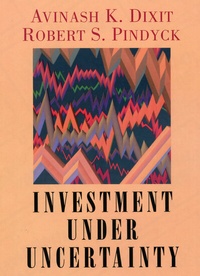 Enlarge image Cover: Investment under Uncertainty - Princeton University Press
