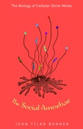 Cover: The Social Amoebae - Princeton University Press